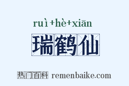 瑞鹤仙是什么意思的图片